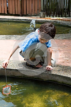 Boy catching little fish with a net