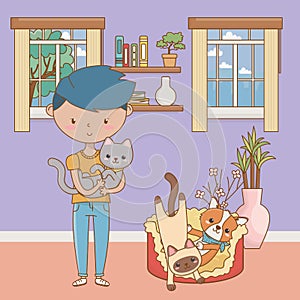 Boy with cats and dog cartoon design