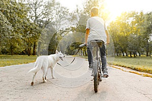 Boy child on a bike with white dog husky on the road in the park, back view