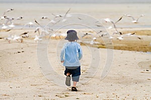 Boy child chasing seagulls at beach