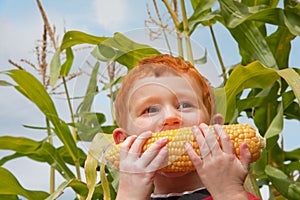 Chlapec jesť kukurica v záhrade 