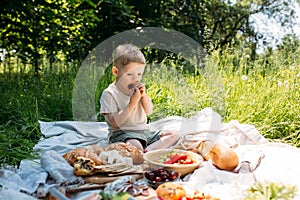 Boy child preschooler on a picnic. Smiles, eating cherries and enjoying summer.