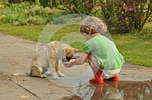 Boy, child in red rubber Wellingtons talking with the puppy. Childhood in diapers.