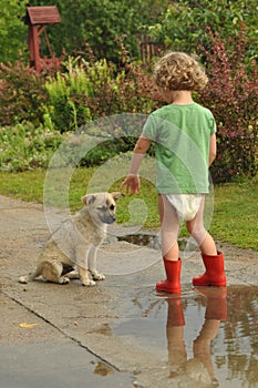 Boy, child in red rubber Wellingtons, talking with the puppy. Childhood in diapers