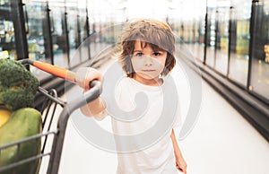 Boy child with shopping trolley with products. Little cute boy with shopping cart full of fresh organic vegetables and