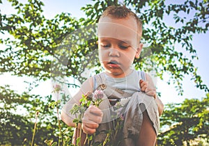 Boy child in a summer park