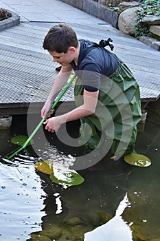 Boy cleaning garden pond