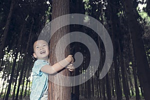 Boy climb up tree