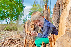 The boy climbed inside an old rotten stump and sits there smiling and rejoicing