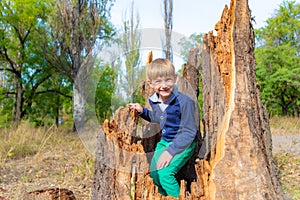 The boy climbed inside an old rotten stump and sits there smiling and rejoicing