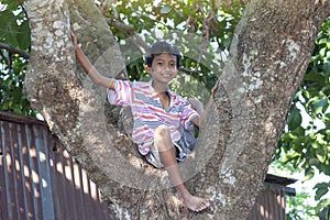 The boy climbing on the big santol tree and sitting smile in the countryside.