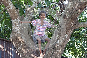 The boy climbing on the big tree and standing smile on the trunk in the countryside.