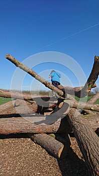 Boy climbing over tree logs