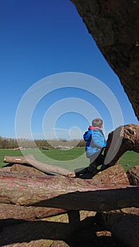 Boy climbing over tree logs staring at the sky