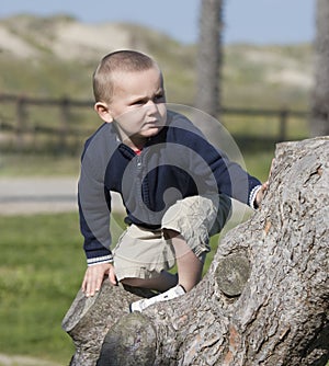 Boy climbing tree