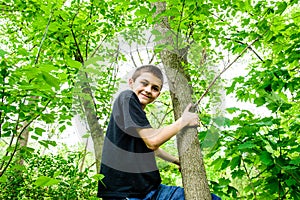 Boy Climbing Tree looking down