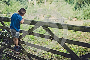 Boy climbing the wooden gates in Banstead Woods