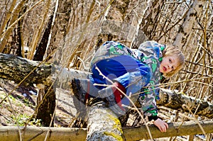 A boy climbs on a tree