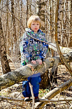 A boy climbs on a tree