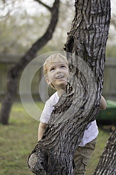 Boy Climbs Tree