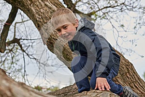 A Boy Climbs Tree