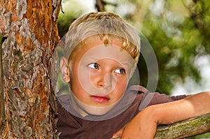 A boy climbs a tree