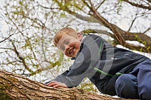 A Boy Climbs Tree