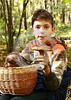 Boy collect mushrooms in the autumn forest