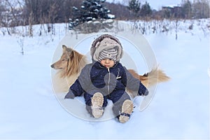 Boy and collie rought in the snow