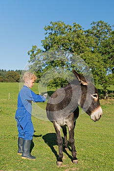 Boy combing the donkey