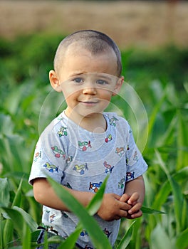 Boy in cornfield