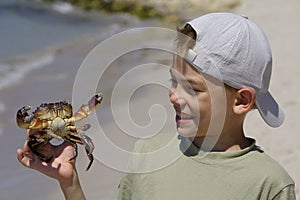 Boy and the crab