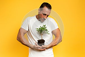 Boy cradles a small tree ready to be planted. yellow color background. concept of forestation, ecology and conservation