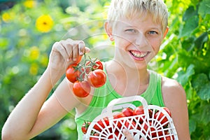 Boy with a crop of tomatoes