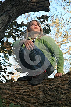 Boy crouching on tree branch photo