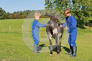 Boy curry the donkey