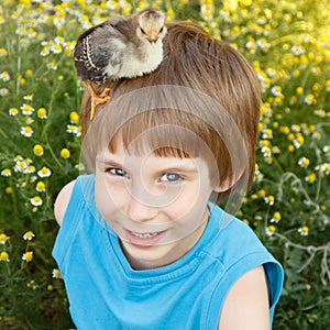 Boy cute with chiken on his head