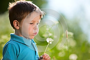 Boy with dandelion