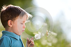 Boy with dandelion