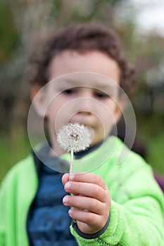 Boy with a dandelion flower