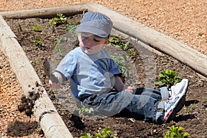 Boy digging in dirt photo