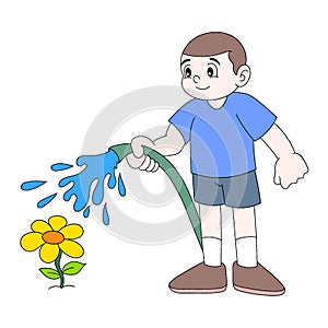 Boy is diligently watering sunflower plants