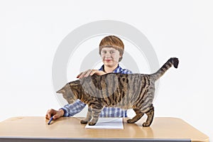 Boy is disturbed by his tabby cat while doing his homework