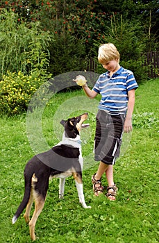 Boy and dog