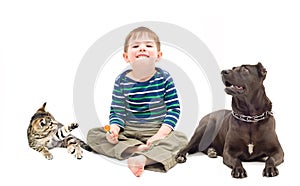 Boy, dog and kitten sitting together