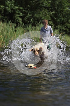Boy and Dog Playing Fetch
