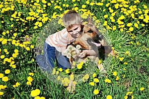 Boy, dog and yellow meadow.