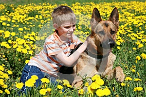 Boy, dog and yellow meadow.