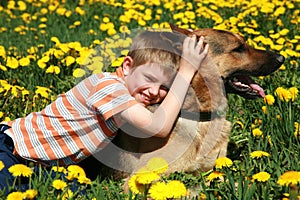 Boy, dog and yellow meadow.