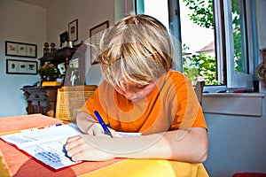 Boy doing his homework